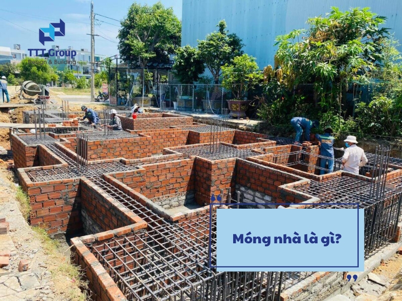 mong nha la gi